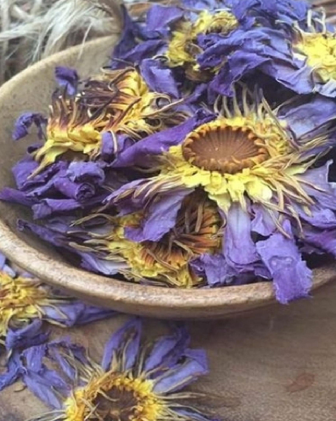 Healing Hippie Tea - Blue Lotus Peace Tea Blend